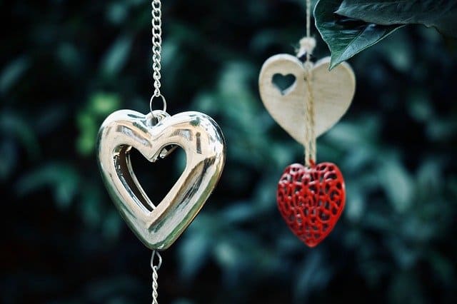 heart-g124261936_640 (1).jpg