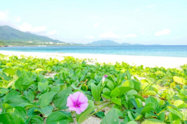 【謙虚と自己卑下の違い】引き寄せの法則から自己卑下を解放させていく方法