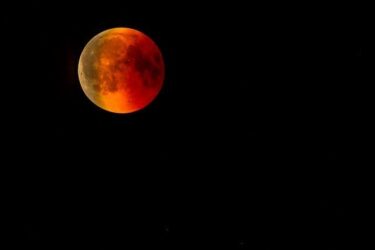 ビーバームーン・牡牛座満月・部分月食・2021年11月19日のスピリチュアルメッセージ