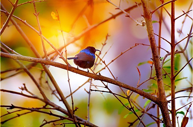 【無意識と意識の構造の心理学】一歩を踏み出せないメカニズムを解説しています。