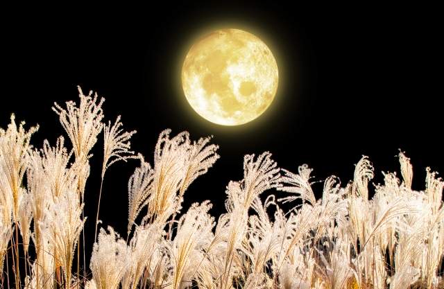 魚座満月・ハーヴェストムーン・中秋の名月（2022年9月10日）のスピリチュアルメッセージです