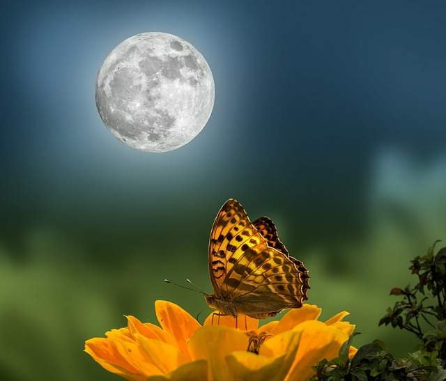 ウエサク満月・蠍座満月・フラワームーン・半影月食のスピリチュアルメッセージ